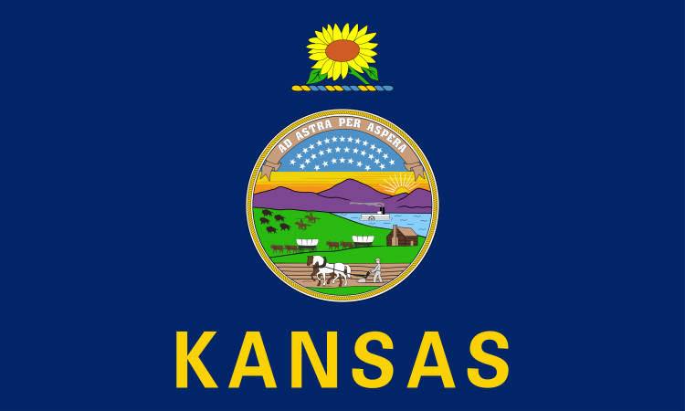 Kansas Medical Malpractice Laws