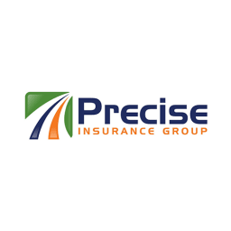 Precise Insurance Group logo