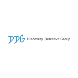 Discovery Detective Group logo