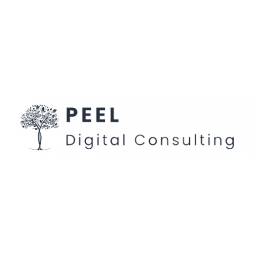 Peel Digital Consulting logo